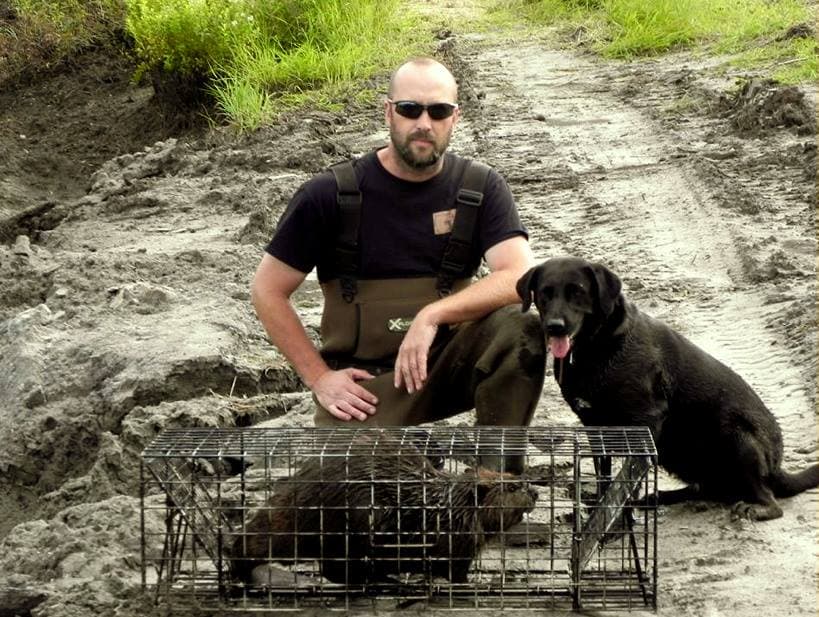 Service de relocalisation et extermination d'animaux au Centre-du-Quebec